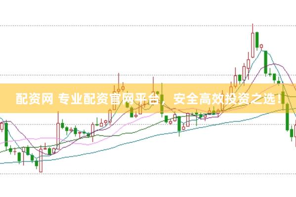 配资网 专业配资官网平台，安全高效投资之选！