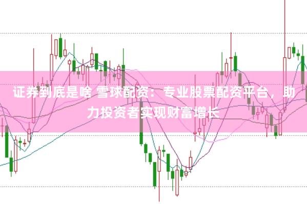 证券到底是啥 雪球配资：专业股票配资平台，助力投资者实现财富增长