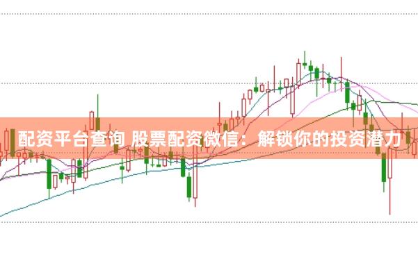 配资平台查询 股票配资微信：解锁你的投资潜力