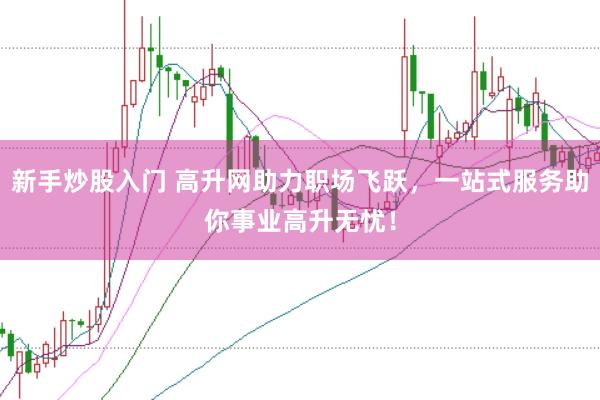 新手炒股入门 高升网助力职场飞跃，一站式服务助你事业高升无忧！