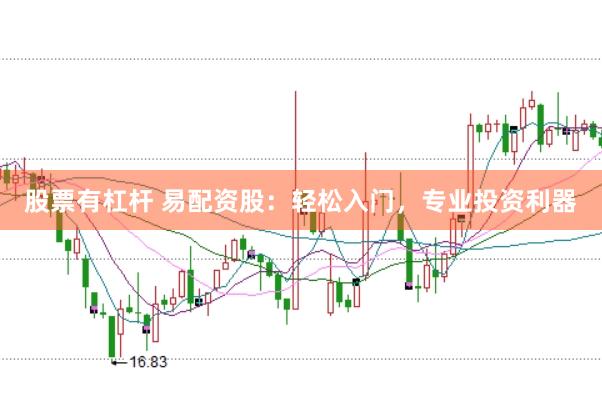 股票有杠杆 易配资股：轻松入门，专业投资利器