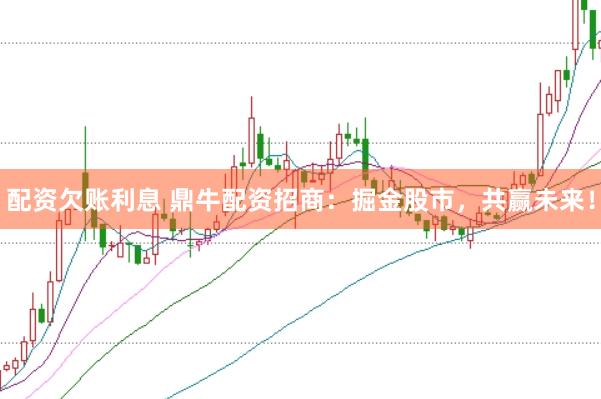 配资欠账利息 鼎牛配资招商：掘金股市，共赢未来！