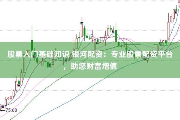 股票入门基础知识 银河配资：专业股票配资平台，助您财富增值