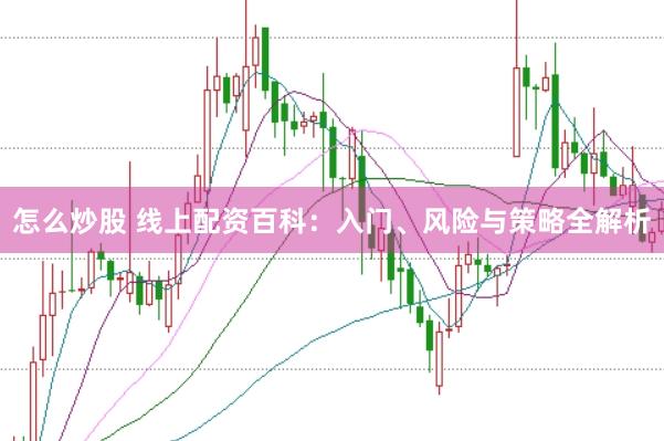 怎么炒股 线上配资百科：入门、风险与策略全解析