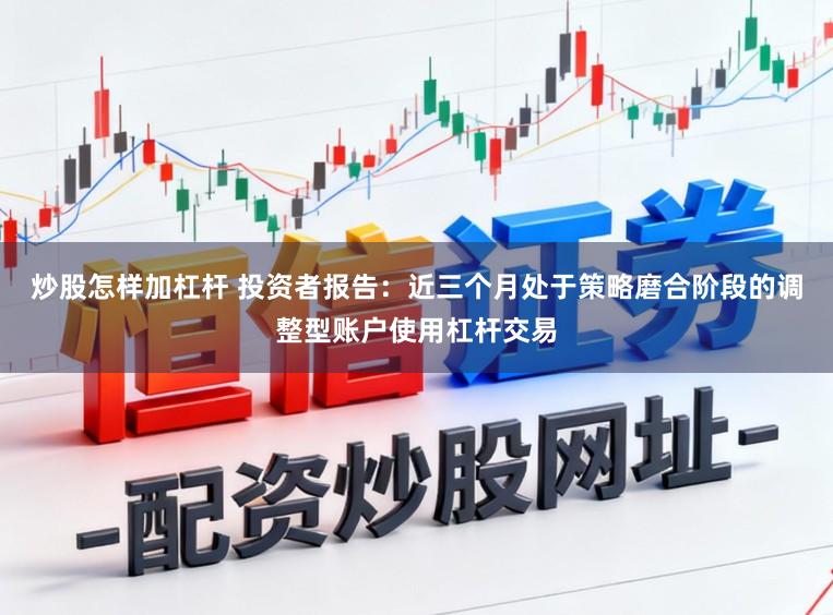 炒股怎样加杠杆 投资者报告：近三个月处于策略磨合阶段的调整型账户使用杠杆交易