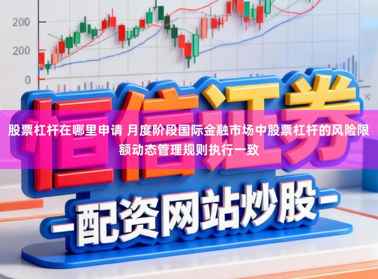 股票杠杆在哪里申请 月度阶段国际金融市场中股票杠杆的风险限额动态管理规则执行一致