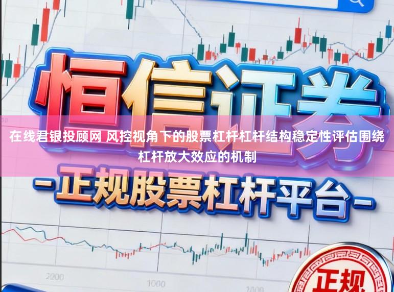 在线君银投顾网 风控视角下的股票杠杆杠杆结构稳定性评估围绕杠杆放大效应的机制