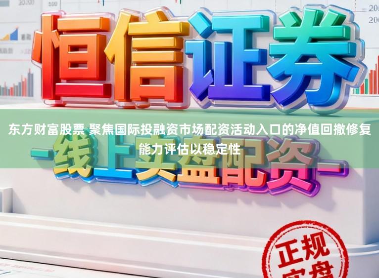 东方财富股票 聚焦国际投融资市场配资活动入口的净值回撤修复能力评估以稳定性