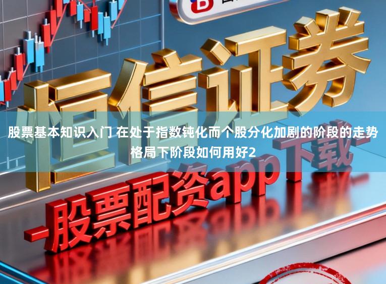 股票基本知识入门 在处于指数钝化而个股分化加剧的阶段的走势格局下阶段如何用好2